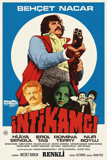 İntikamcı movie poster