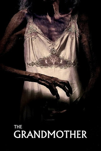 The Grandmother movie poster