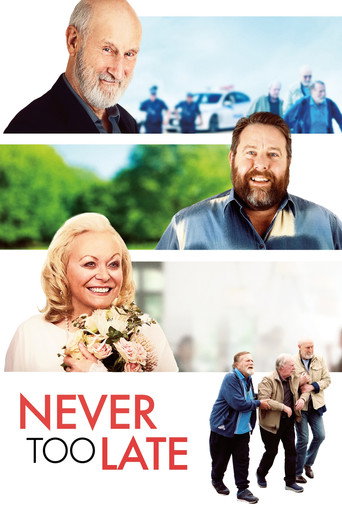 Never Too Late movie poster