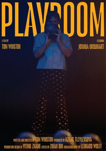 Play Room movie poster