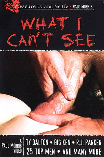 What I Can't See movie poster