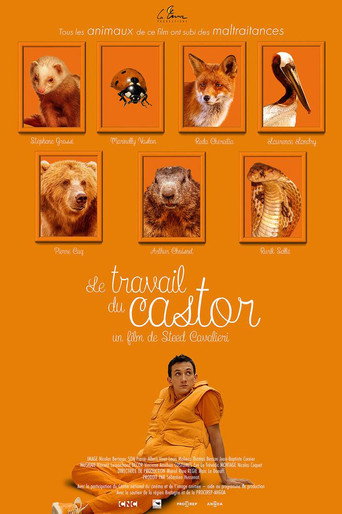 Le Travail du castor movie poster