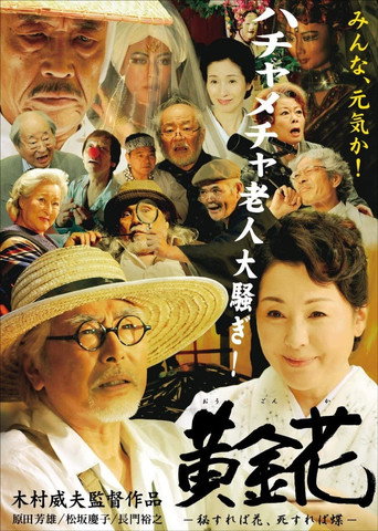 Golden Flower: What Is Hidden Is the True Flower, What Is Gone Is the Butterfly movie poster