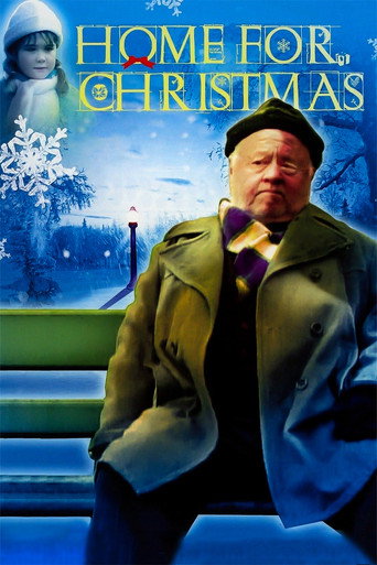 Home for Christmas movie poster