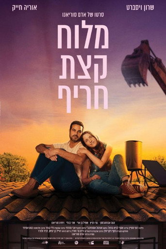 Salty Somewhat Spicy movie poster
