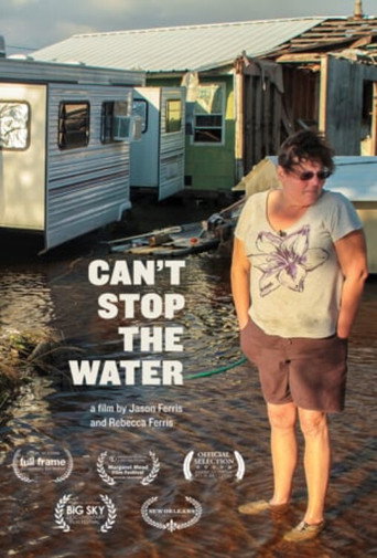 Can't Stop the Water movie poster