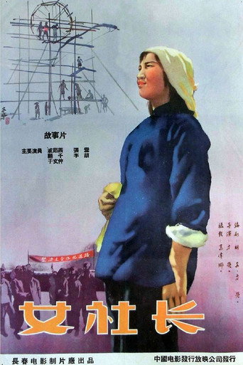 女社长 movie poster