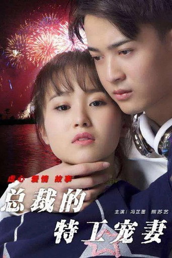 总裁的特工宠妻 movie poster