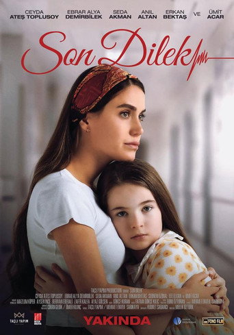 Son Dilek movie poster