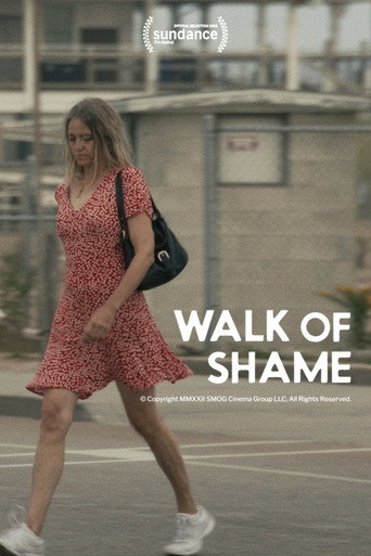 Walk of Shame movie poster
