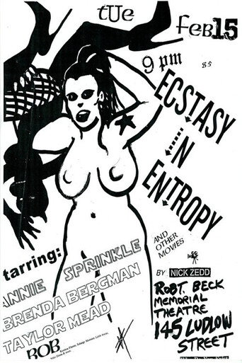 Ecstasy in Entropy movie poster