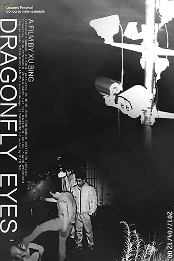 Dragonfly Eyes movie poster