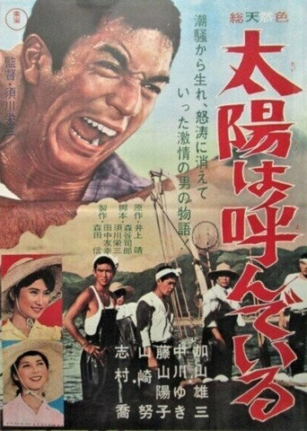 The Sun is Calling You movie poster