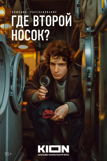 Where’s the Other Sock? movie poster