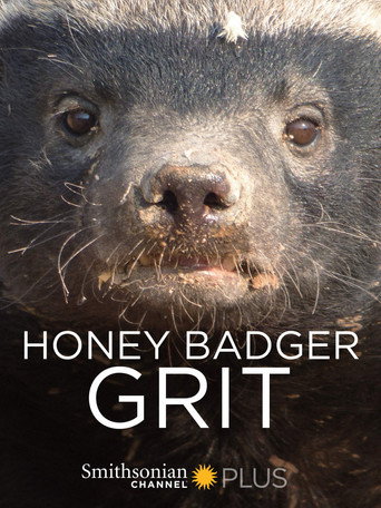 Honey Badger: Grit movie poster