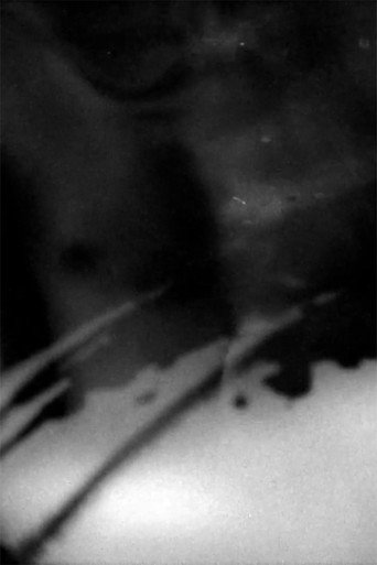 Metamorphosis movie poster