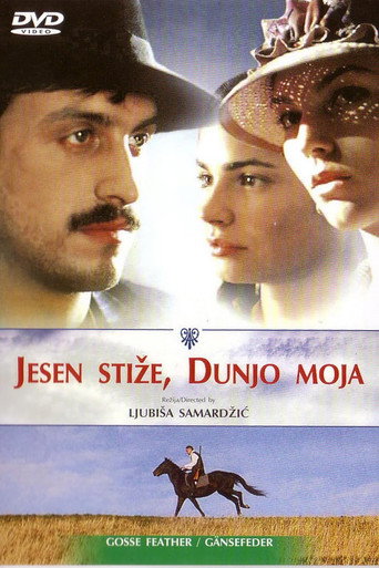 Goose Feather movie poster