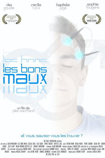 Les bons maux movie poster