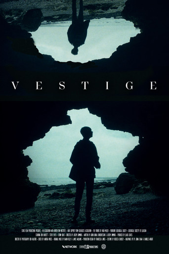 Vestige movie poster