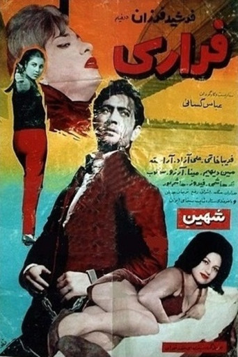 Fugitive movie poster
