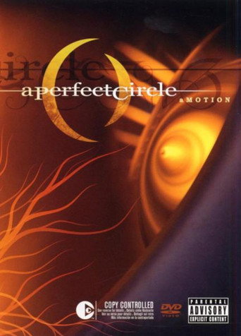 A Perfect Circle: aMOTION movie poster