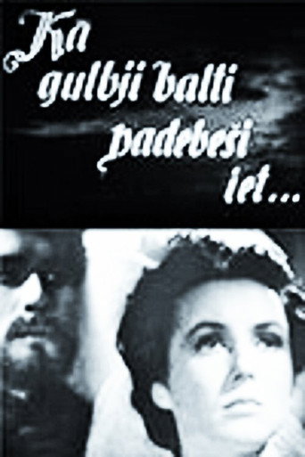 Following the Swan Flock of Clouds movie poster