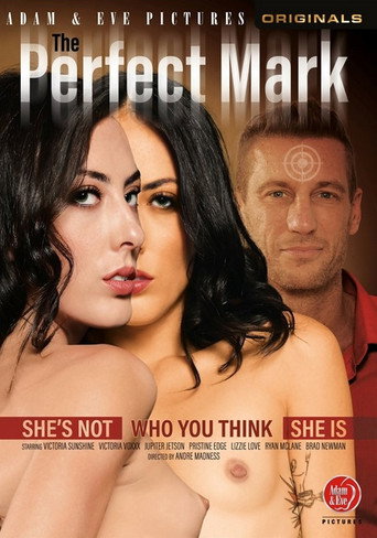 The Perfect Mark movie poster