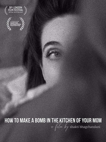 How to Make a Bomb in the Kitchen of Your Mom movie poster
