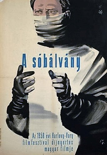 Pillar of Salt movie poster