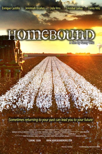 Homebound movie poster