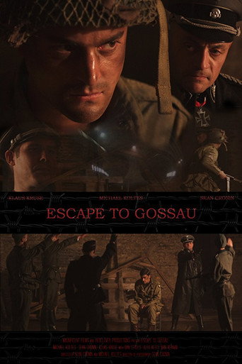 Escape to Gossau movie poster