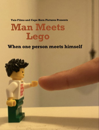 Man Meets Lego movie poster