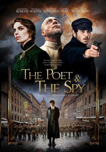 The Poet And The Spy movie poster
