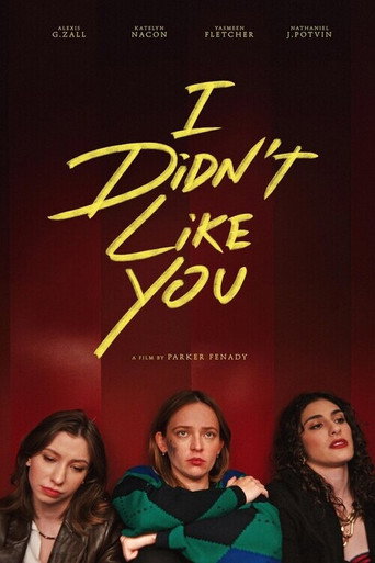 I Didn't Like You movie poster