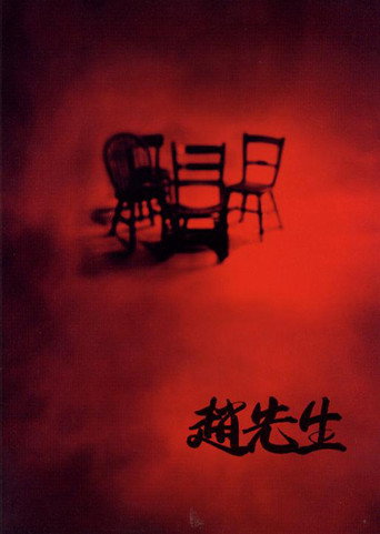 Mr. Zhao movie poster