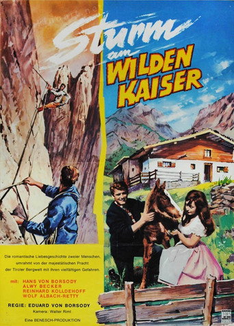 Bergwind movie poster