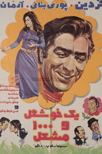 One Beautiful and 1000 Problems movie poster