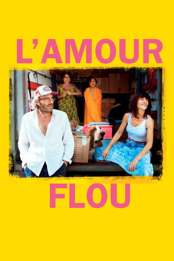 L'Amour flou movie poster