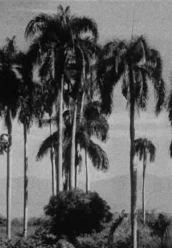 Haiti movie poster