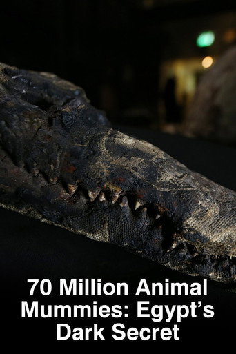 70 Million Animal Mummies: Egypt's Dark Secret movie poster