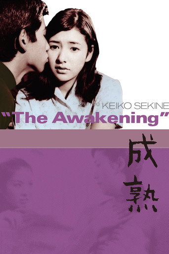 The Awakening movie poster