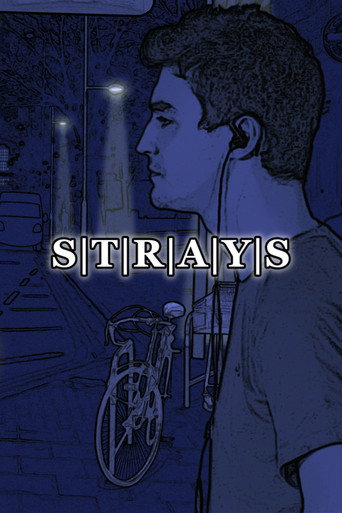 S|T|R|A|Y|S movie poster