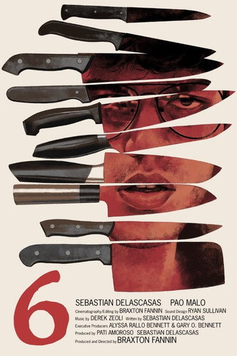 6 movie poster