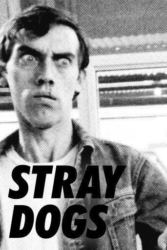 Stray Dogs movie poster