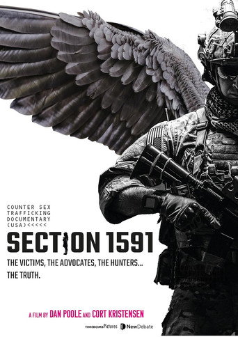 Section 1591 movie poster
