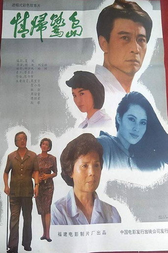 Coming Back to Xiamen movie poster
