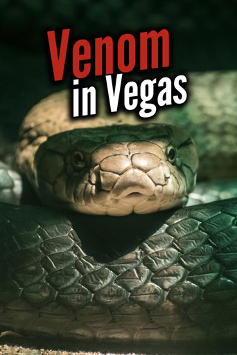 Venom In Vegas movie poster