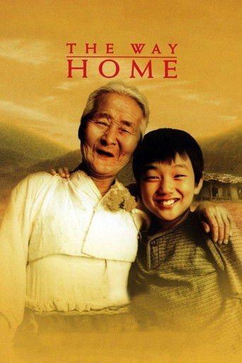The Way Home movie poster