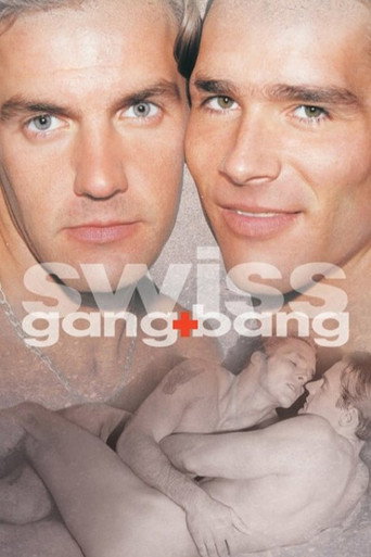 Swiss Gang Bang movie poster