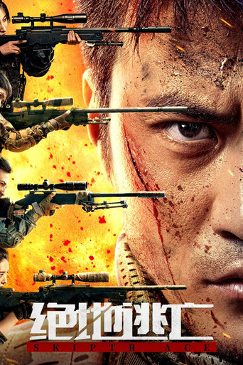 Skiptrace movie poster
